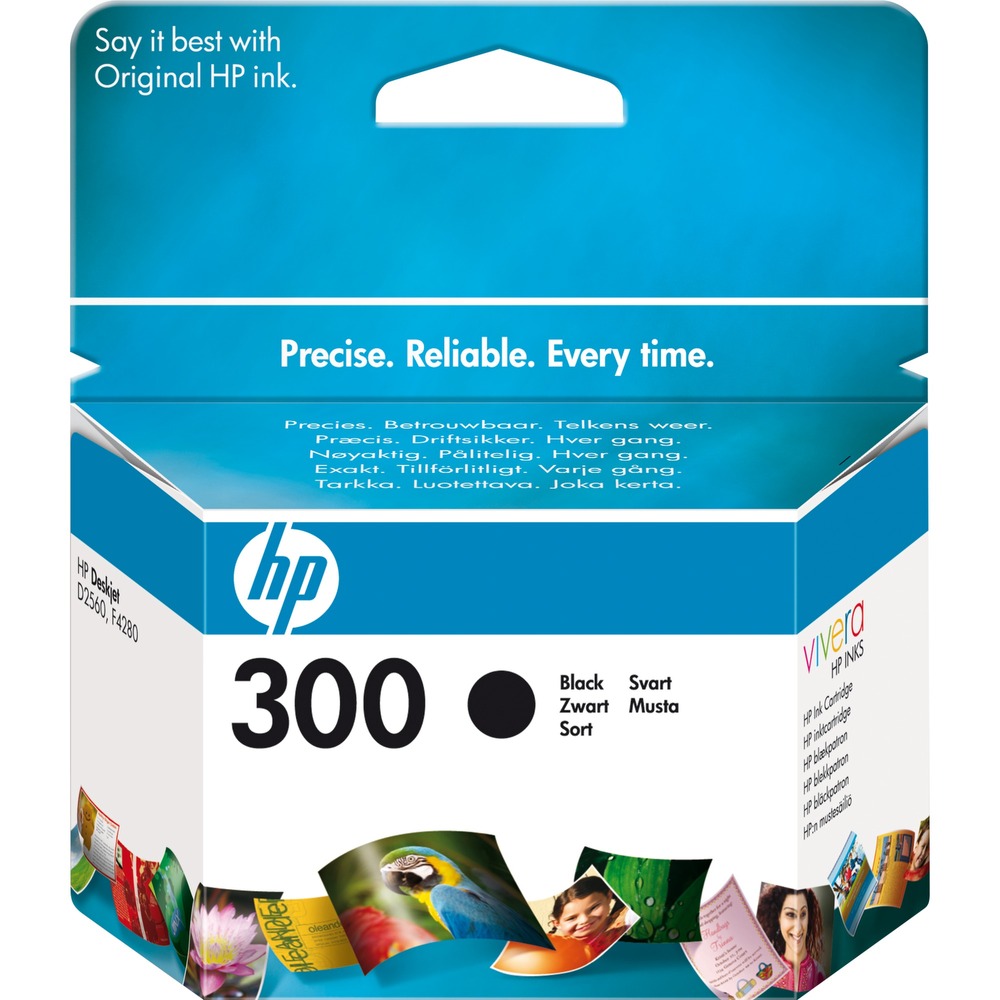 HP 300 Schwarz Druckerpatrone CC640EE (HP300)